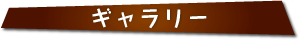 ギャラリー