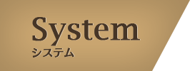 System